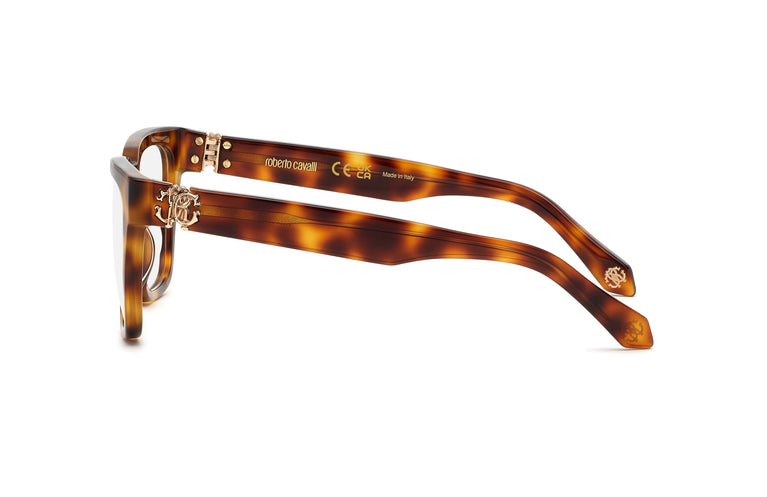 Roberto Cavalli VRC026M 02BP 54