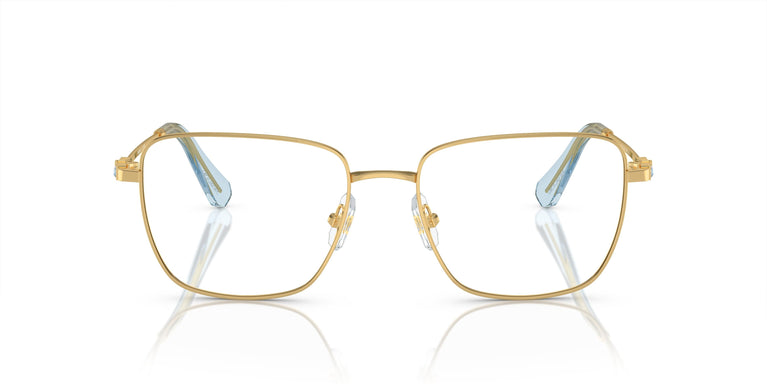 Swarovski SK1003  4021 53