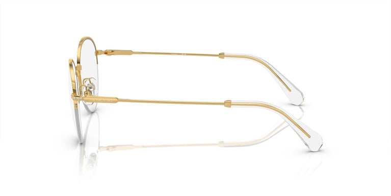 Swarovski SK1004 4004 51