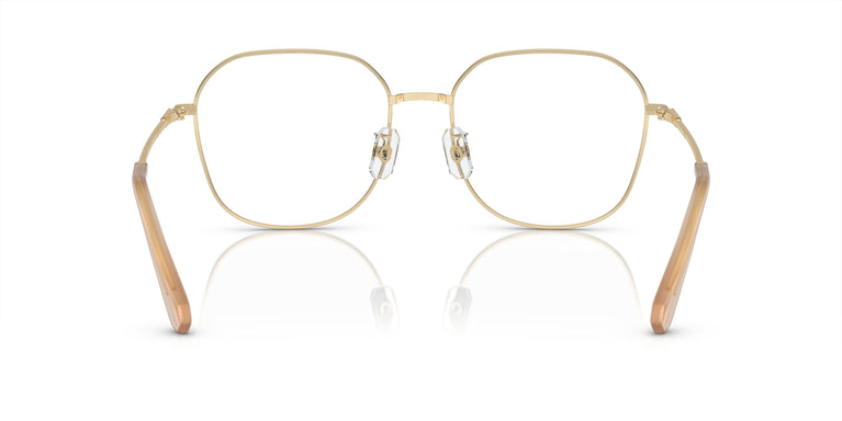 Swarovski SK1009D 4013 58