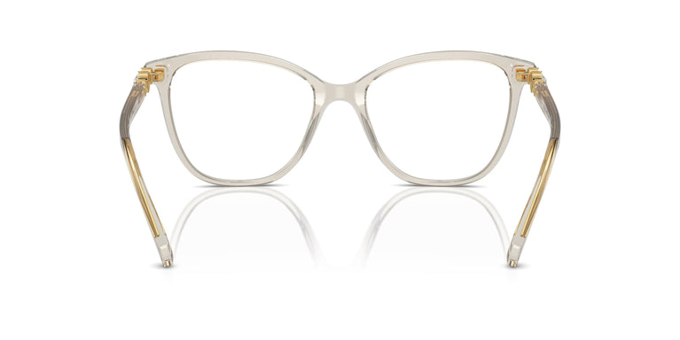Swarovski SK2020 3003 54