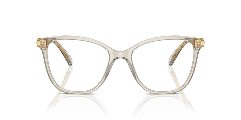 Swarovski SK2020 3003 54