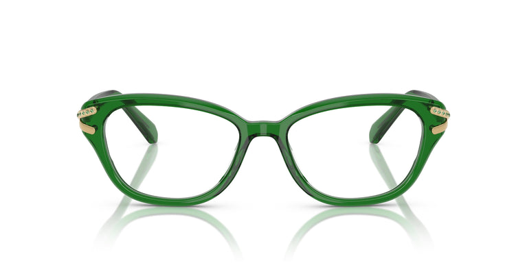 Swarovski SK2032 1064 54