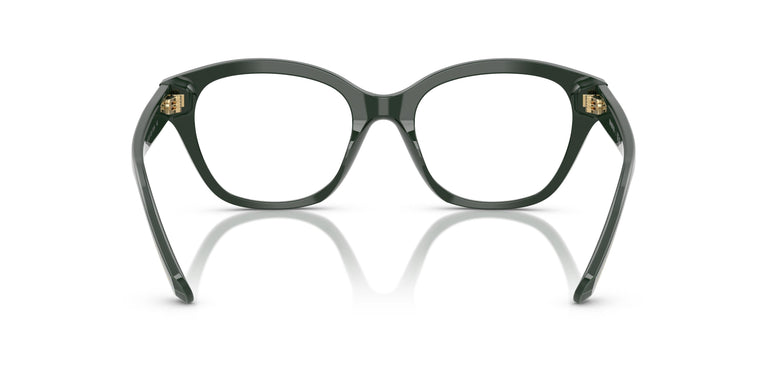 Swarovski SK2038 1026 53