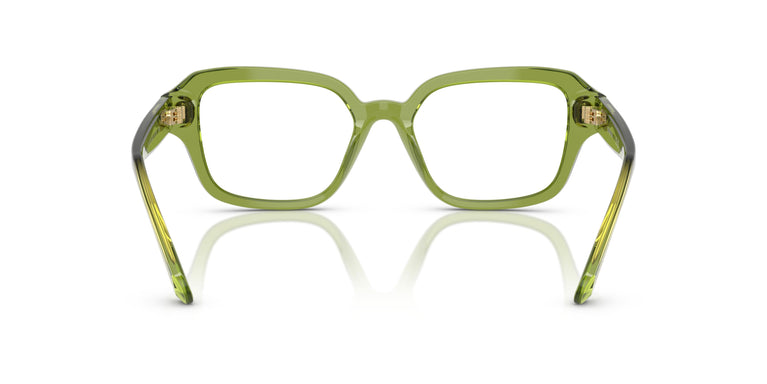 Swarovski SK2039 3002 50
