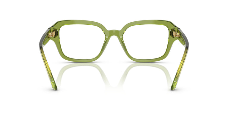 Swarovski SK2039 3002 52