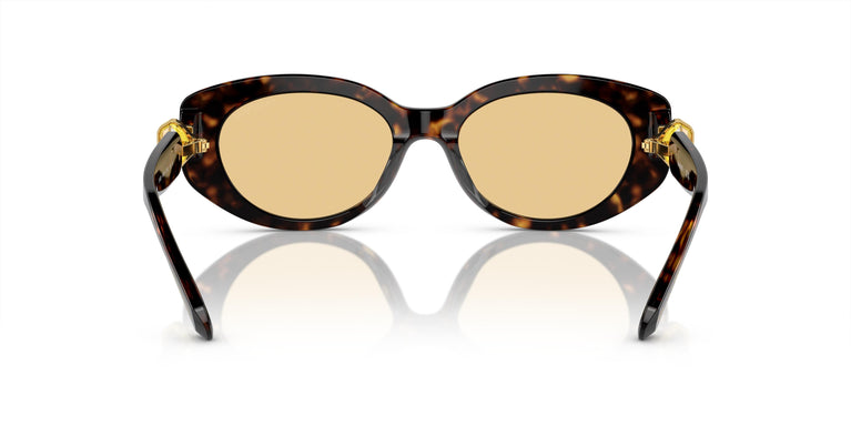Swarovski SK6002 1002/8 53