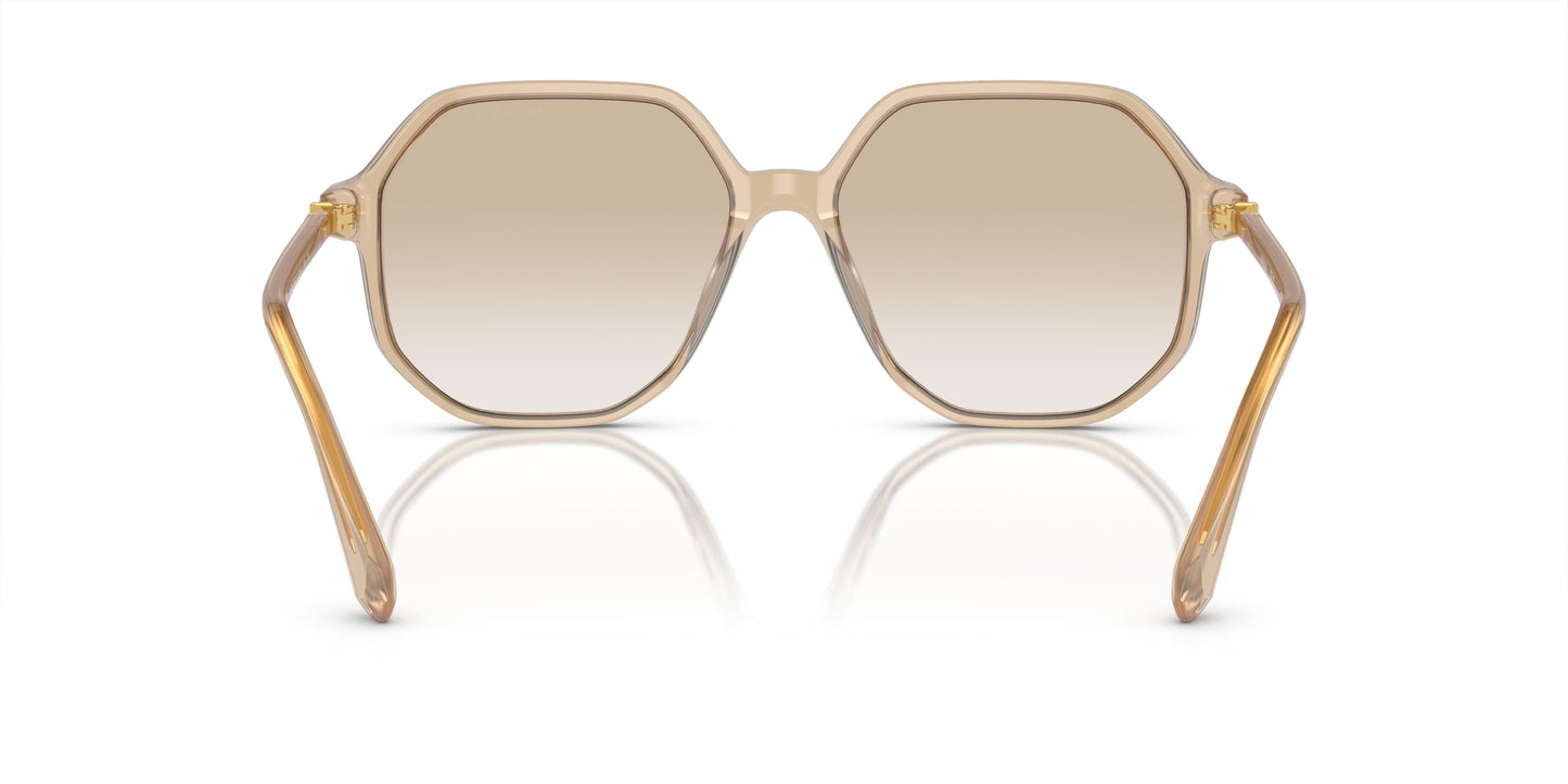 Swarovski SK6003 103411 57