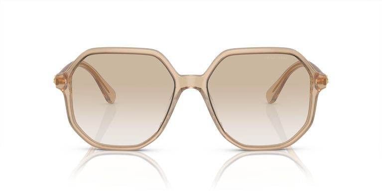 Swarovski SK6003 103411 57