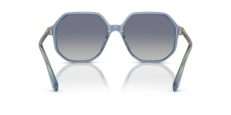 Swarovski SK6003 10354L 57