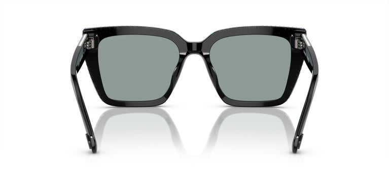 Swarovski SK6013 1010/1 54