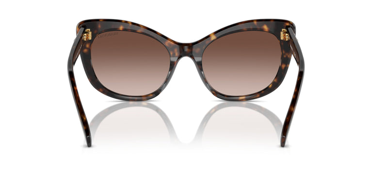 Swarovski SK6020 100213 55