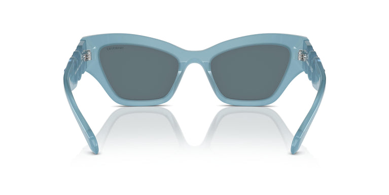 Swarovski SK6021 20046J 53