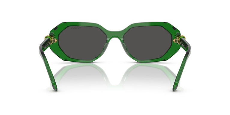 Swarovski SK6028 106487 54