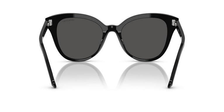 Swarovski SK6031 100187 53