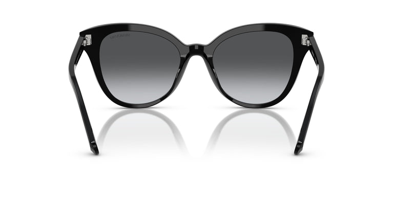 Swarovski SK6031 1001T3 53