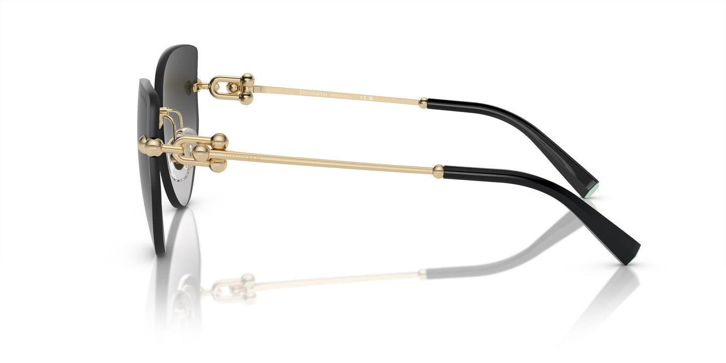 Tiffany & Co. TF3096 60213C 60