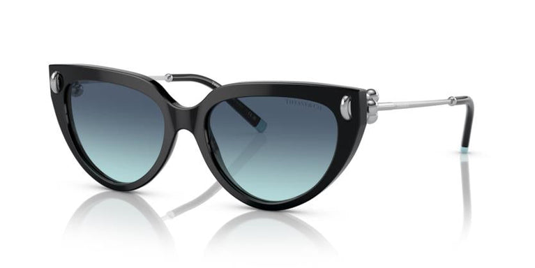 Tiffany & Co. TF4195 80019S 54