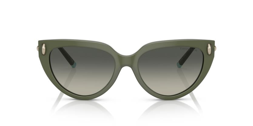 Tiffany & Co. TF4195 835811 54