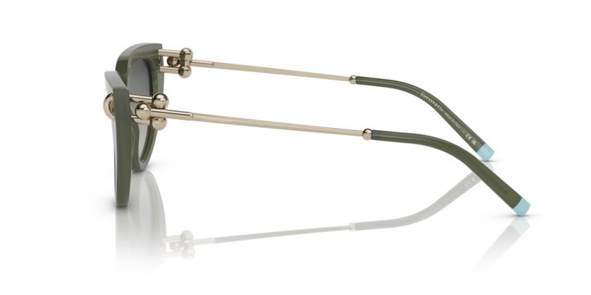 Tiffany & Co. TF4195 835811 54