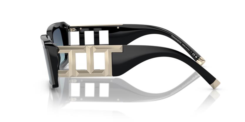 Tiffany & Co. TF4197 80019S 62