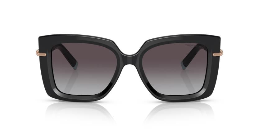 Tiffany & Co. TF4199 80013C 53