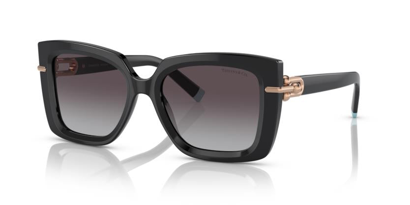 Tiffany & Co. TF4199 80013C 53