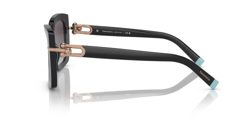 Tiffany & Co. TF4199 80013C 53