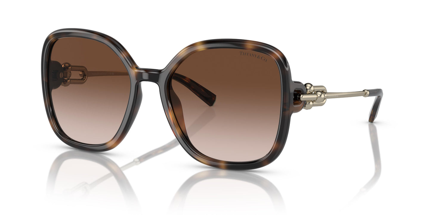 Tiffany TF4202U 80153B 57