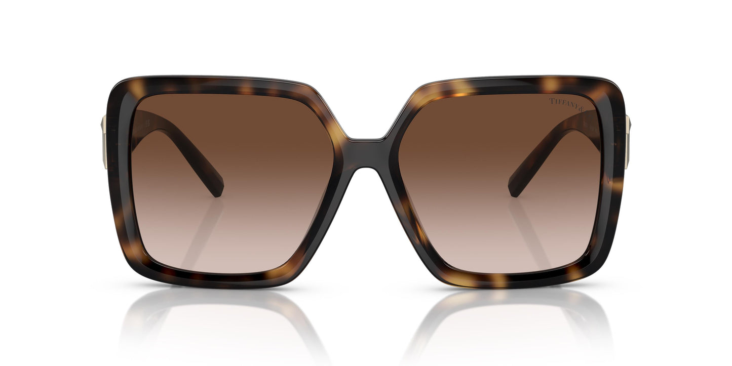 Tiffany TF4206U 80153B 58