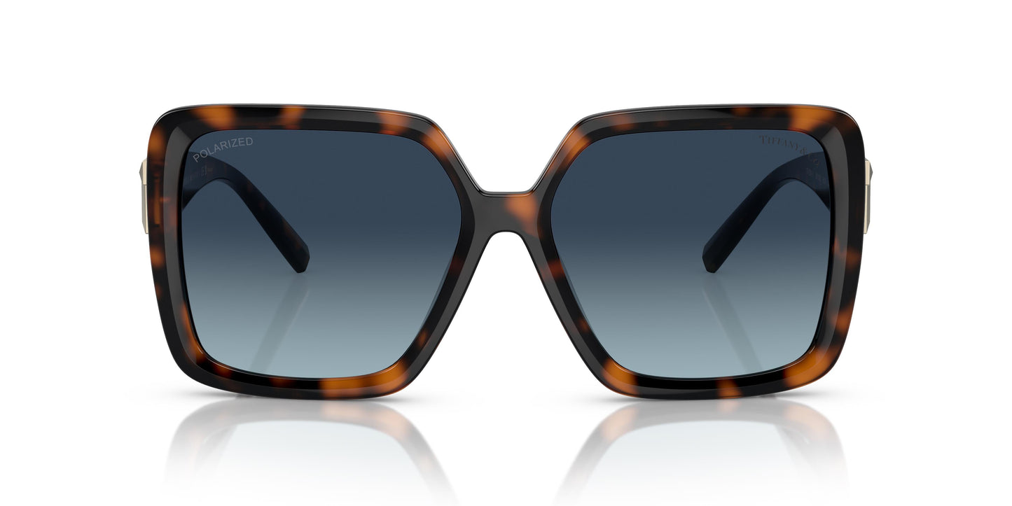 Tiffany & Co. TF4206U 80154U 58