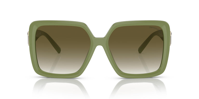 Tiffany TF4206U 83687Z 58