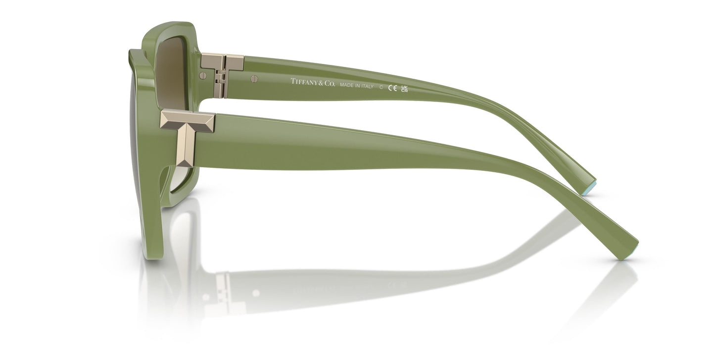 Tiffany TF4206U 83687Z 58