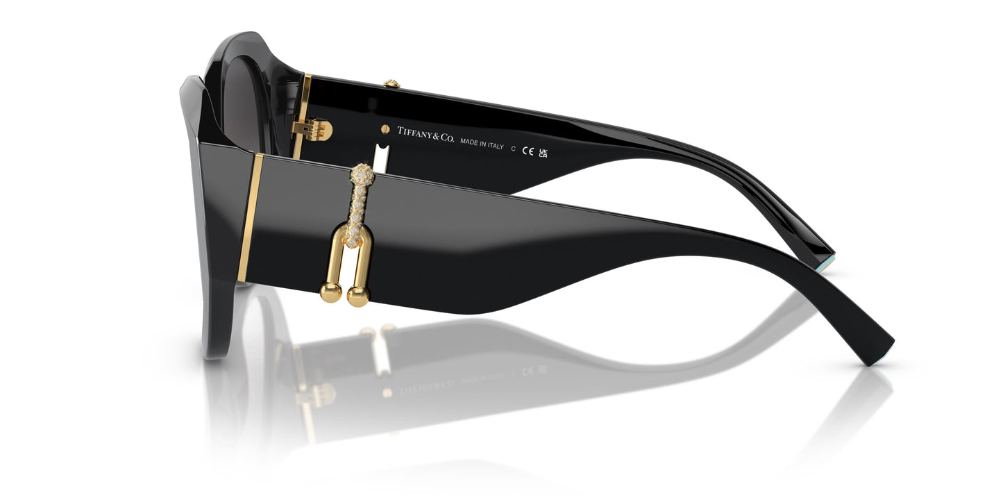 Tiffany & Co. TF4207B 80013C 55