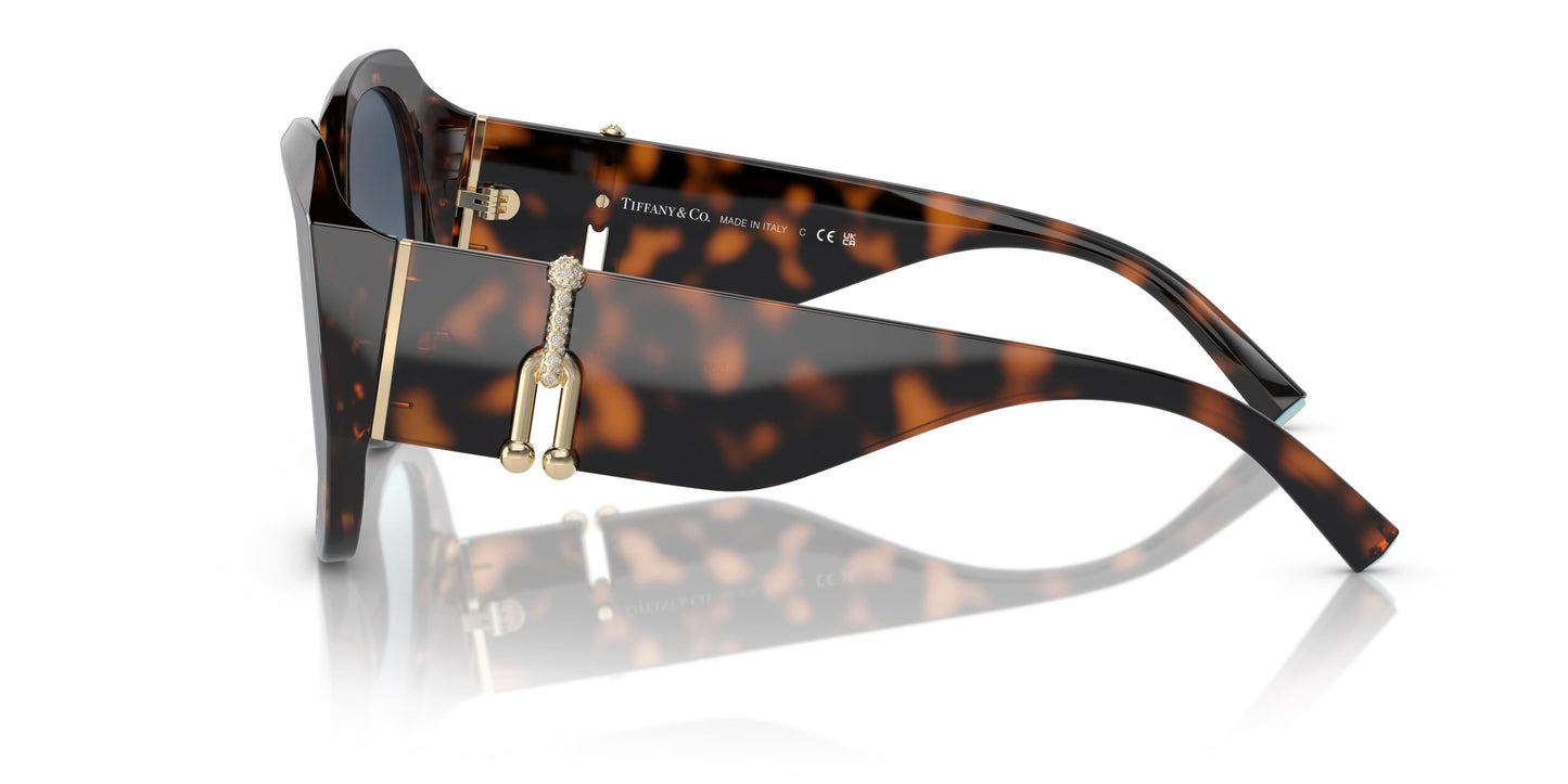 Tiffany & Co. TF4207B 80159S 55