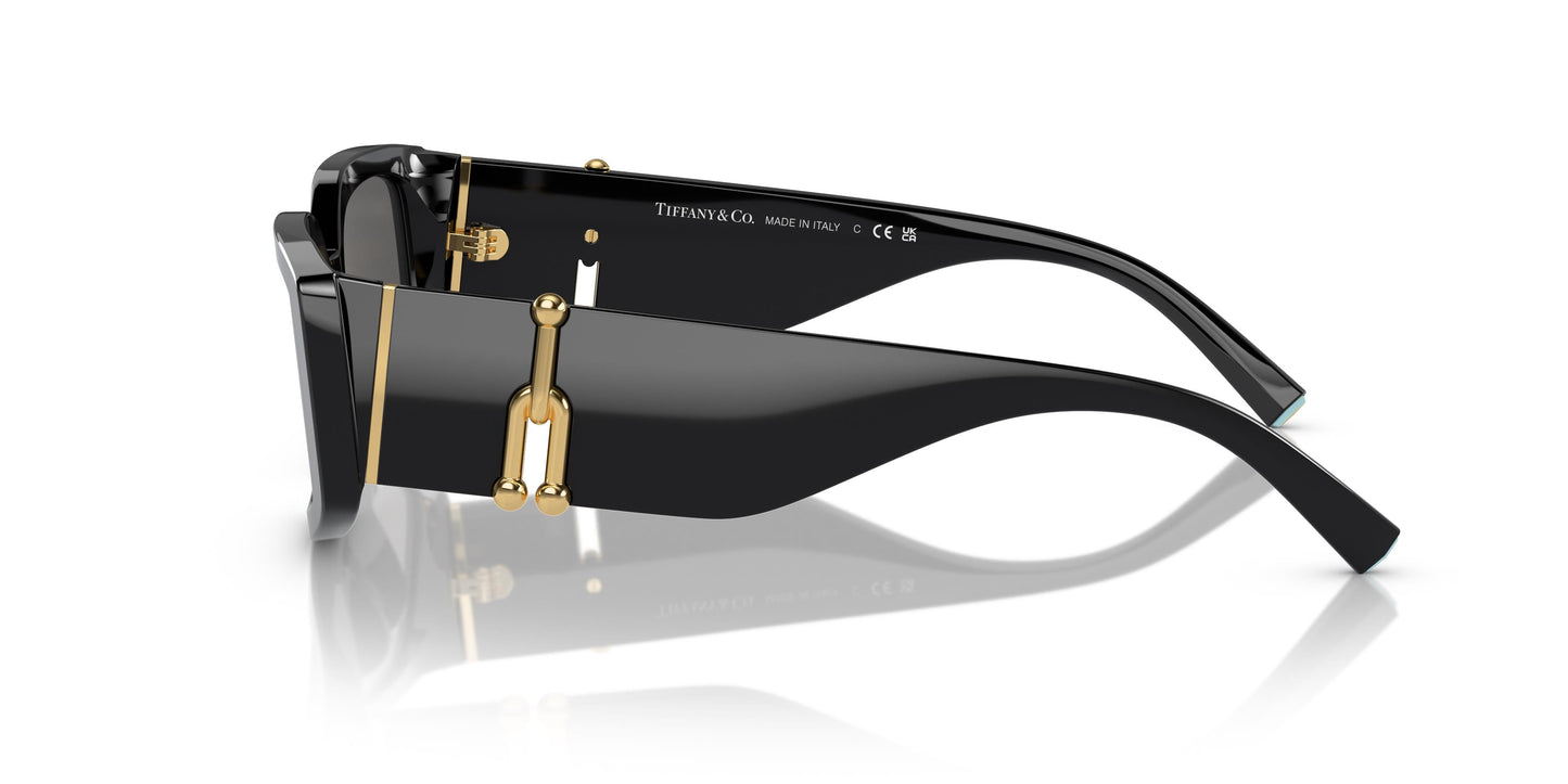 Tiffany & Co. TF4208U 8001S4 54