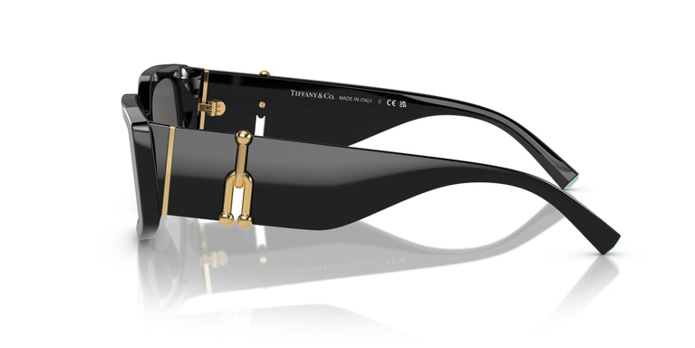 Tiffany & Co. TF4208U 8001S4 54
