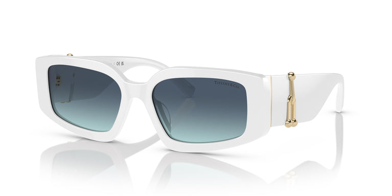 Tiffany & Co. TF4208U 83579S 54