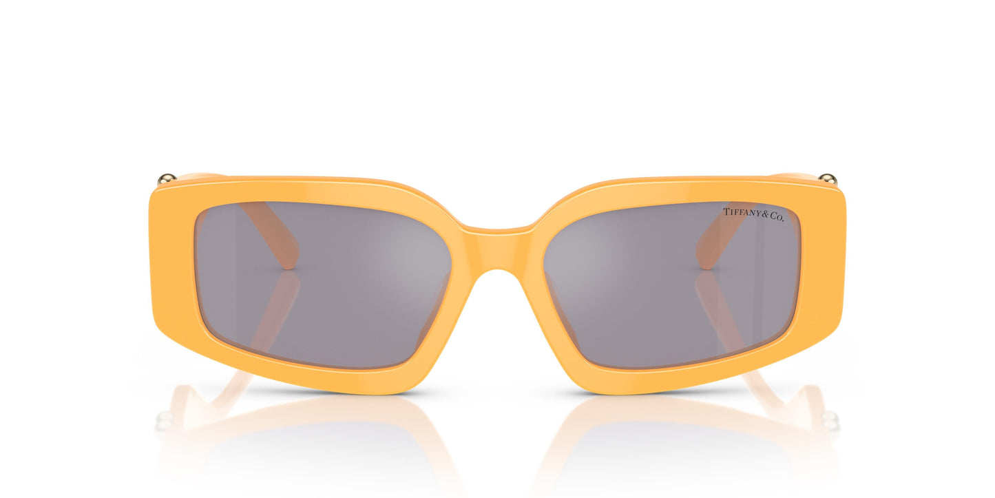 Tiffany & Co. TF4208U 83842S 54