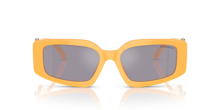 Tiffany & Co. TF4208U 83842S 54