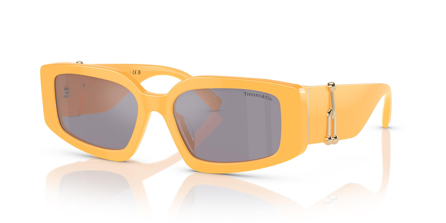 Tiffany & Co. TF4208U 83842S 54