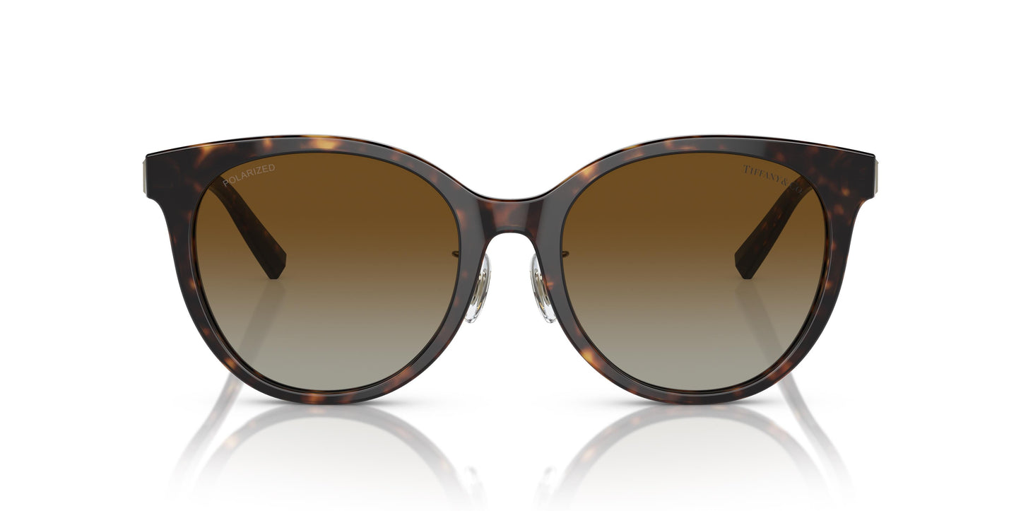 Tiffany & Co. TF4209D 8015T5 54