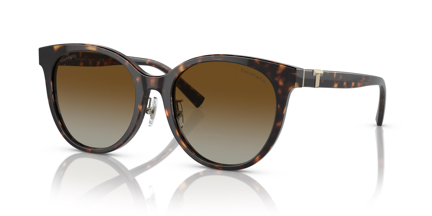 Tiffany & Co. TF4209D 8015T5 54