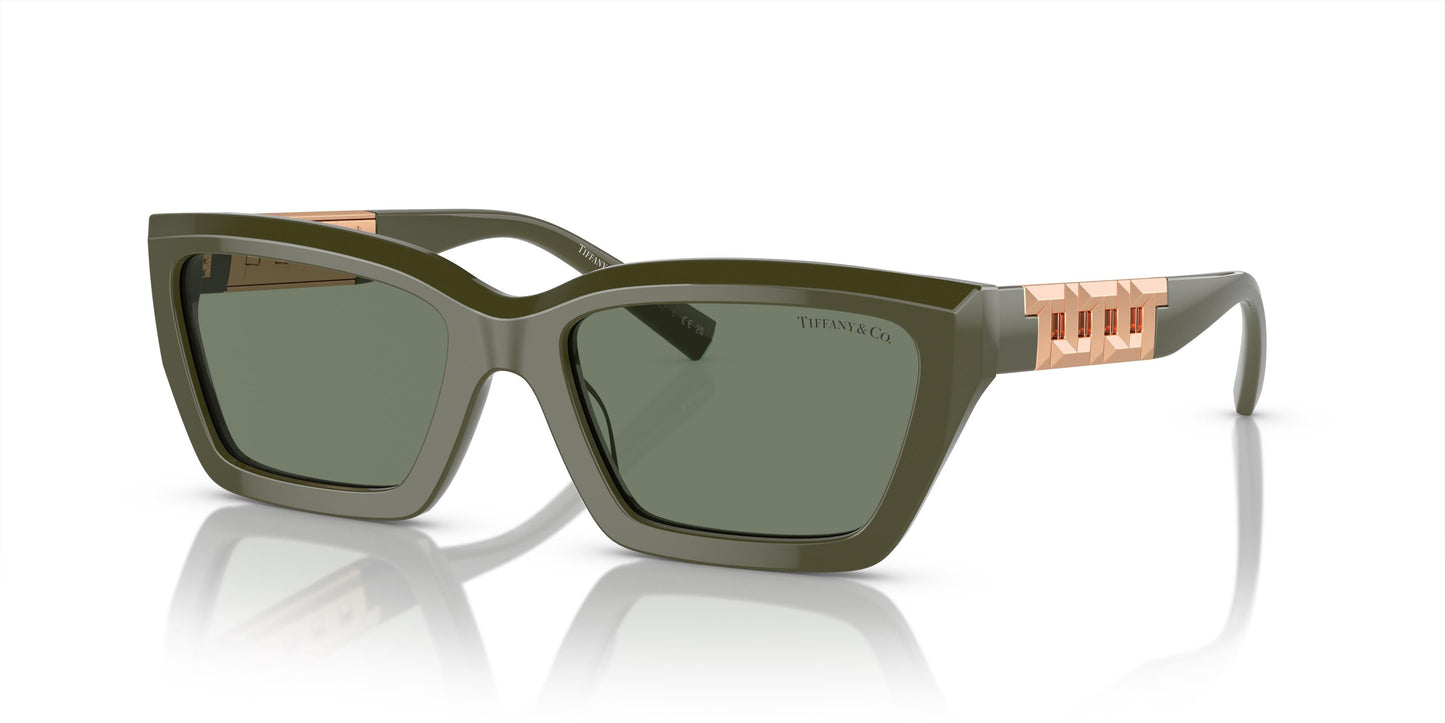 Tiffany & Co. TF4213 839882 54