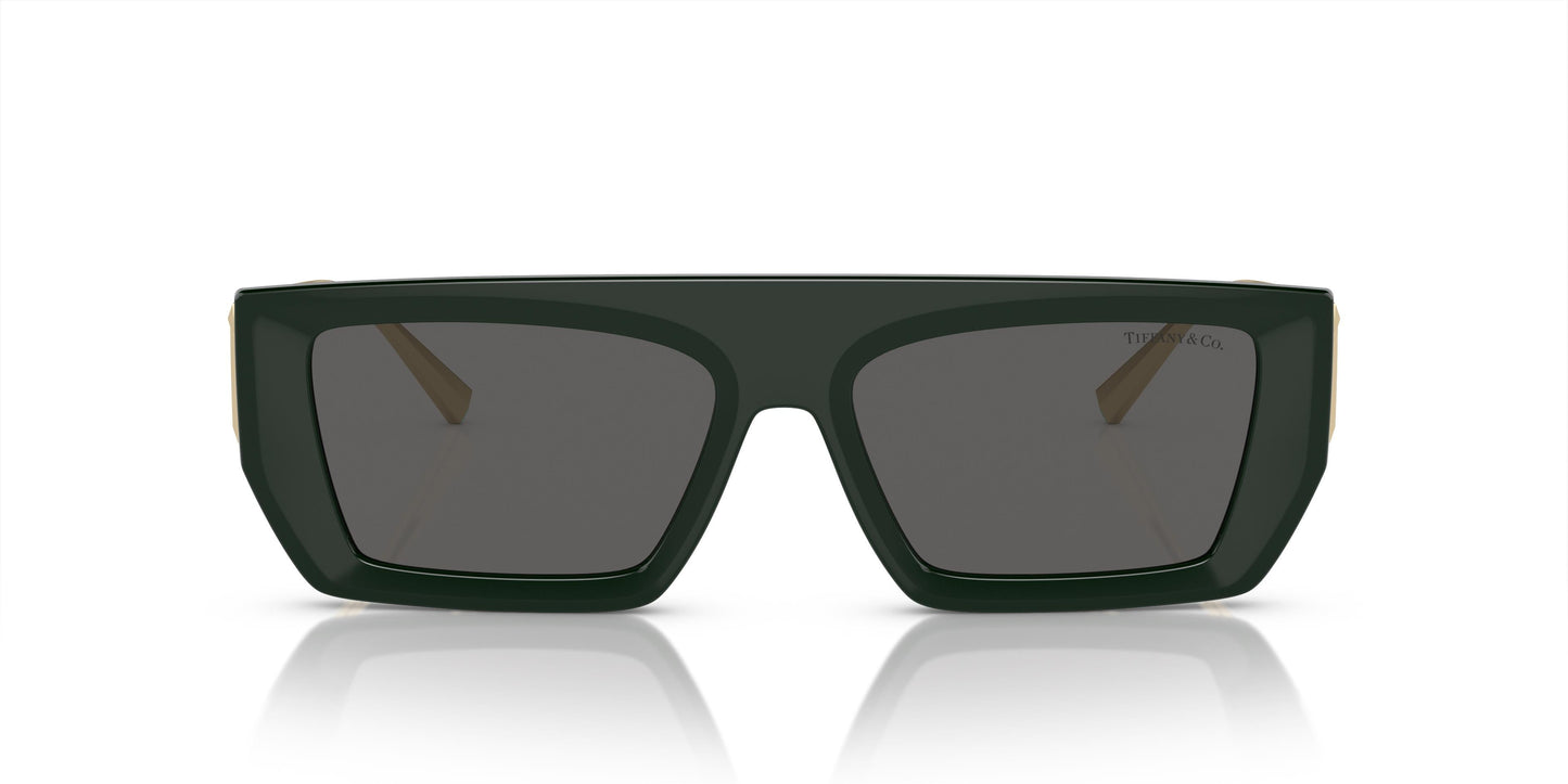 Tiffany & Co. TF4214U 8390S4 54
