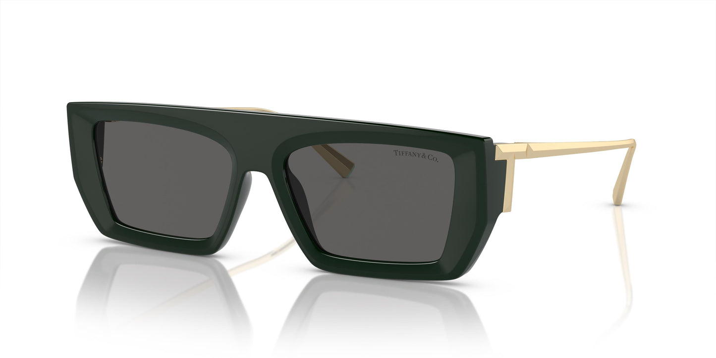 Tiffany & Co. TF4214U 8390S4 54