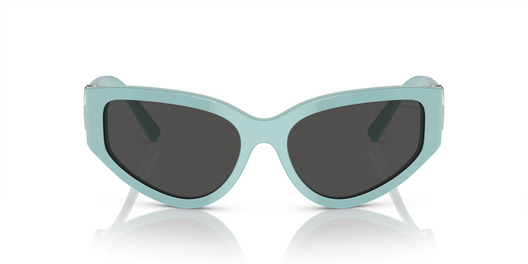 Tiffany & Co. TF4217 838887 59