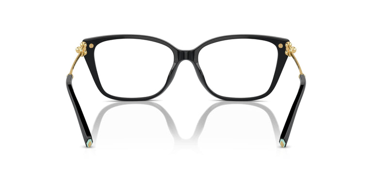 Tiffany TF2248K 8402 55