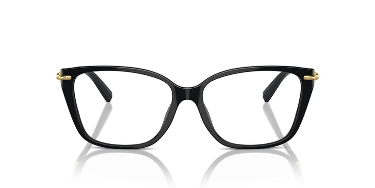 Tiffany TF2248K 8402 53