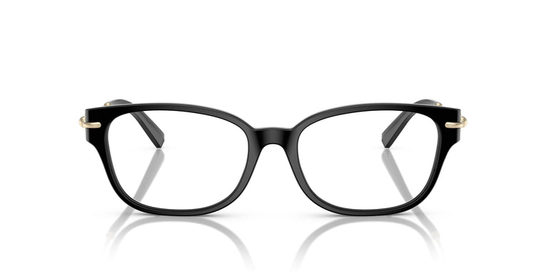 Tiffany TF2262 8001 54